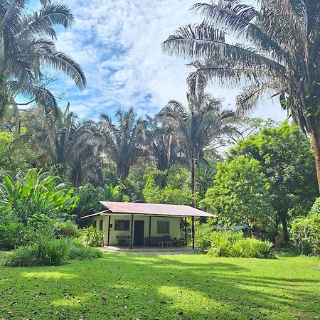 Four Monkeys Eco Lodge Jungle & Beach - The House Cabo Matapalo Экстерьер фото