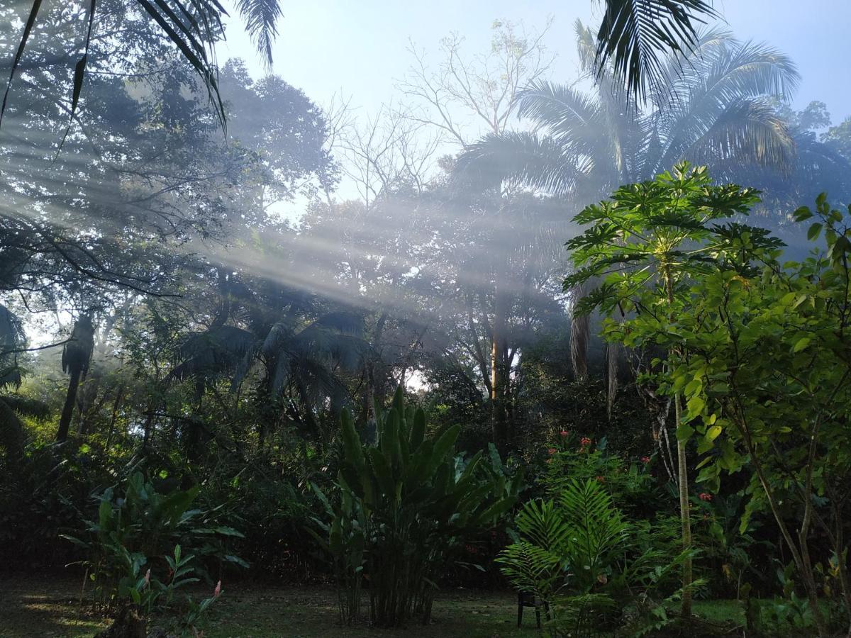 Four Monkeys Eco Lodge Jungle & Beach - The House Cabo Matapalo Экстерьер фото
