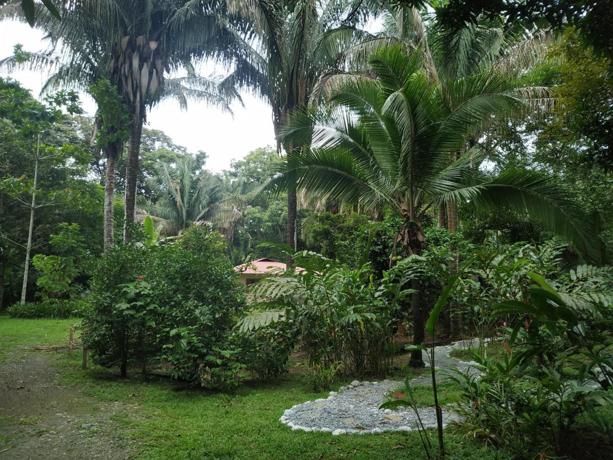 Four Monkeys Eco Lodge Jungle & Beach - The House Cabo Matapalo Экстерьер фото