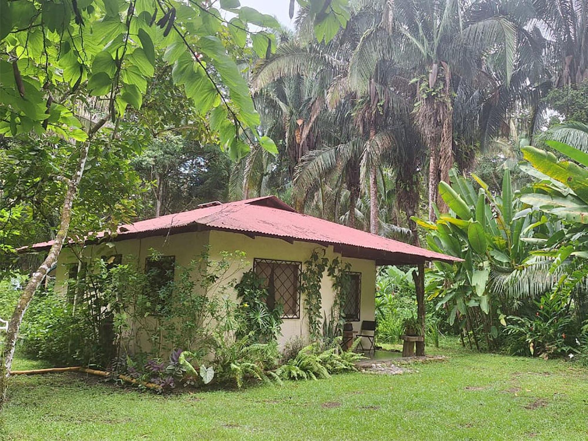 Four Monkeys Eco Lodge Jungle & Beach - The House Cabo Matapalo Экстерьер фото